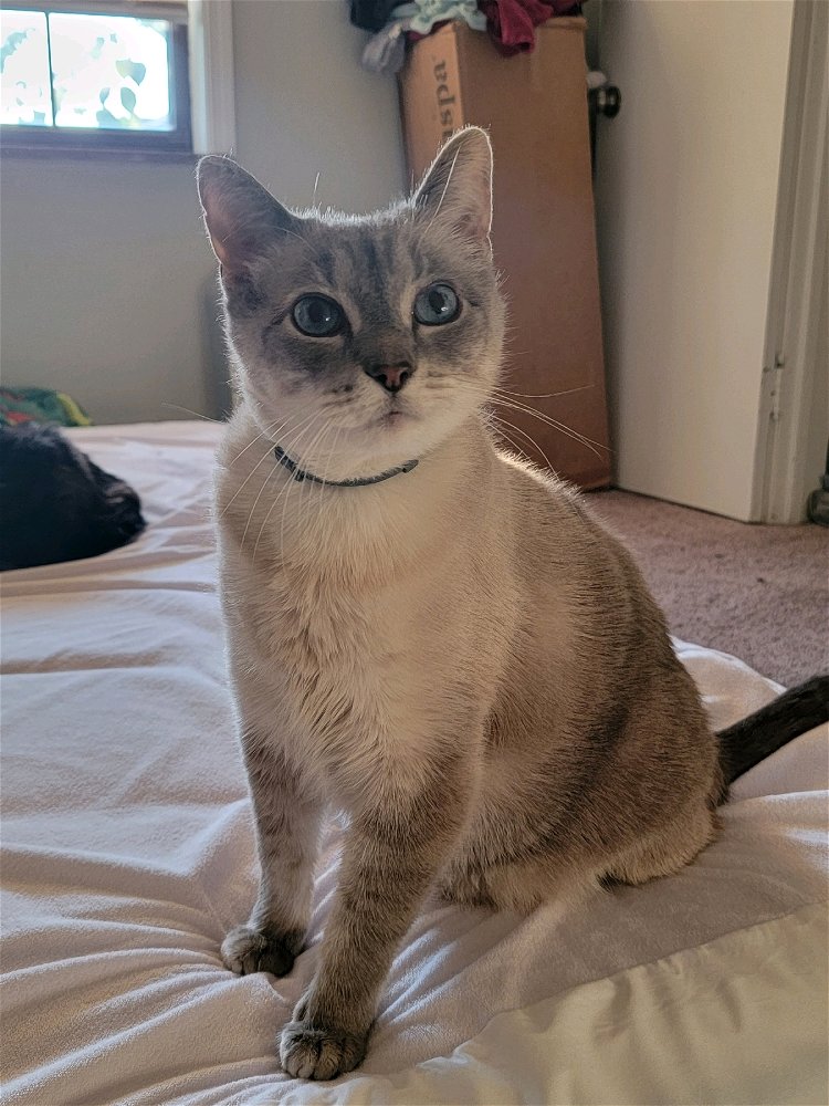 Kuzco