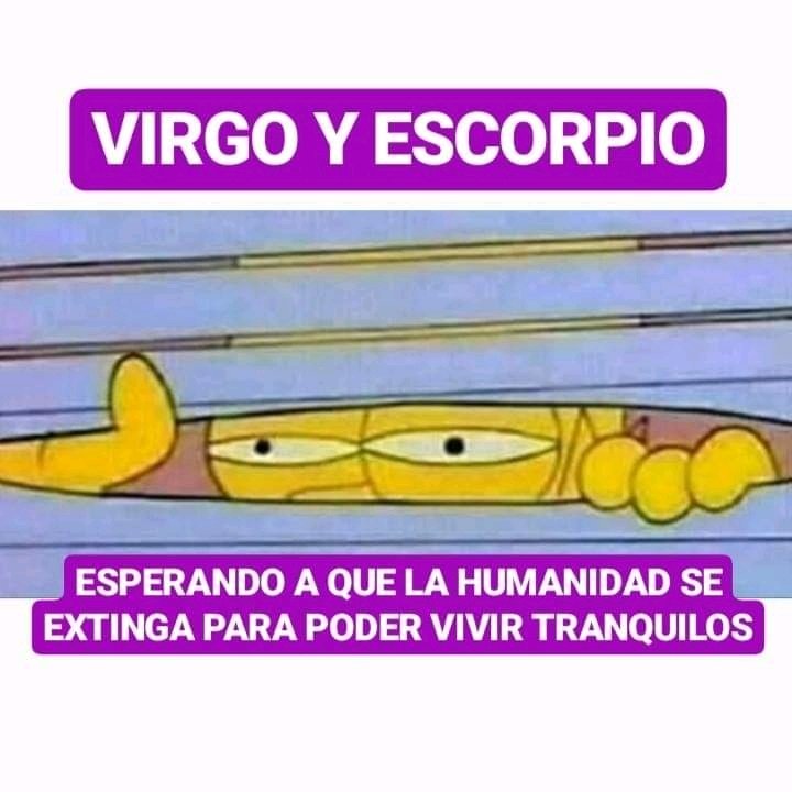 Maso XD