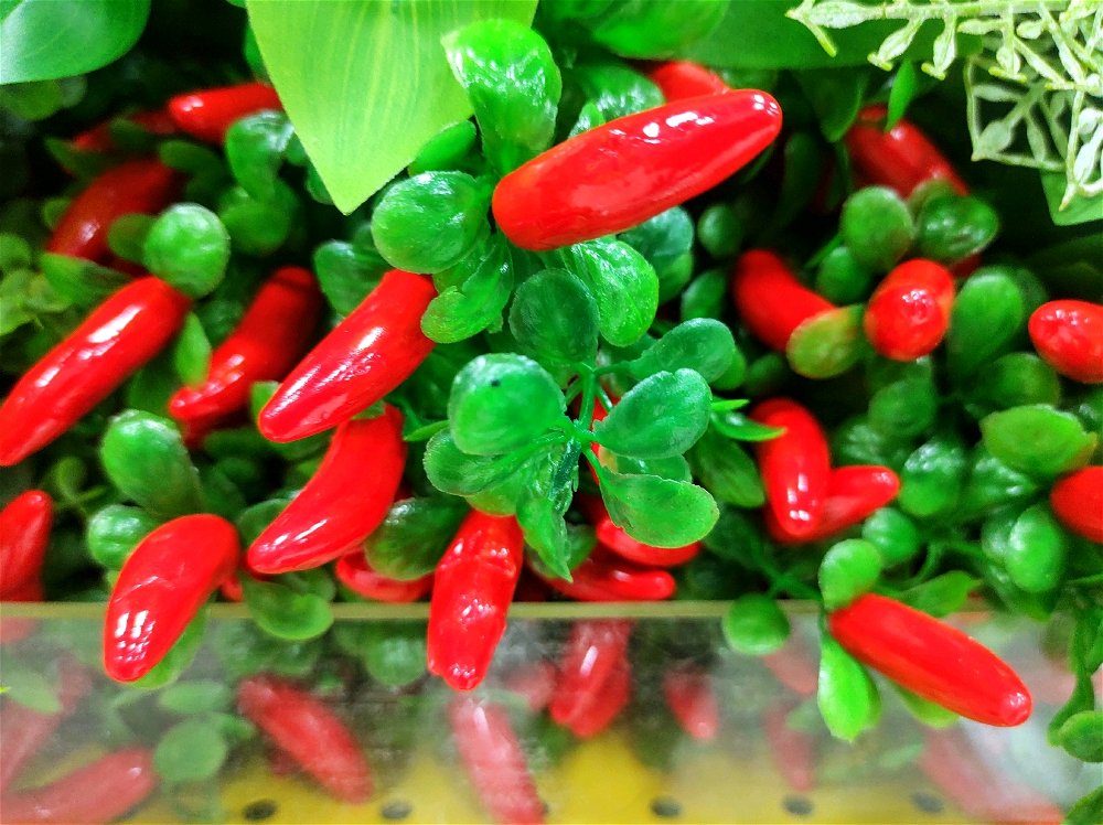 Pimentas de plástico
