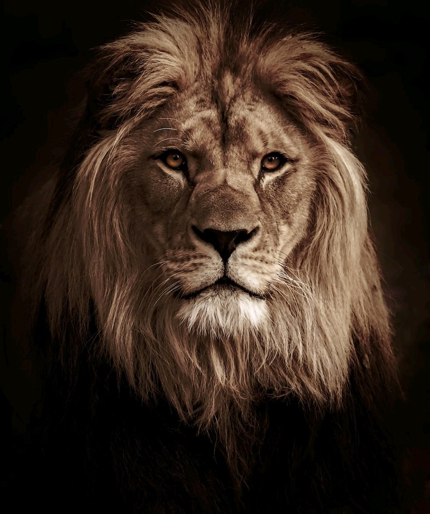 CONFIDENCE