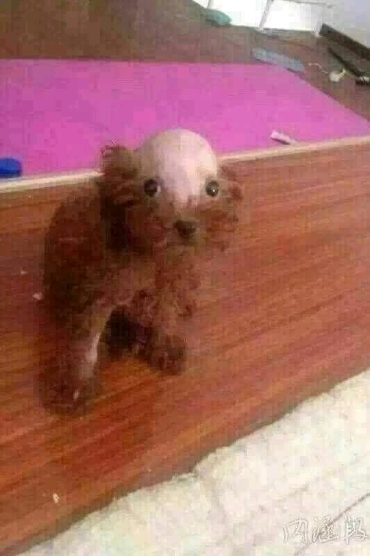 Si alguien te hace una pregunta de.... ¿Que tan pervertid@ eres?  Te ofenderias o algo por el estilo? XD
