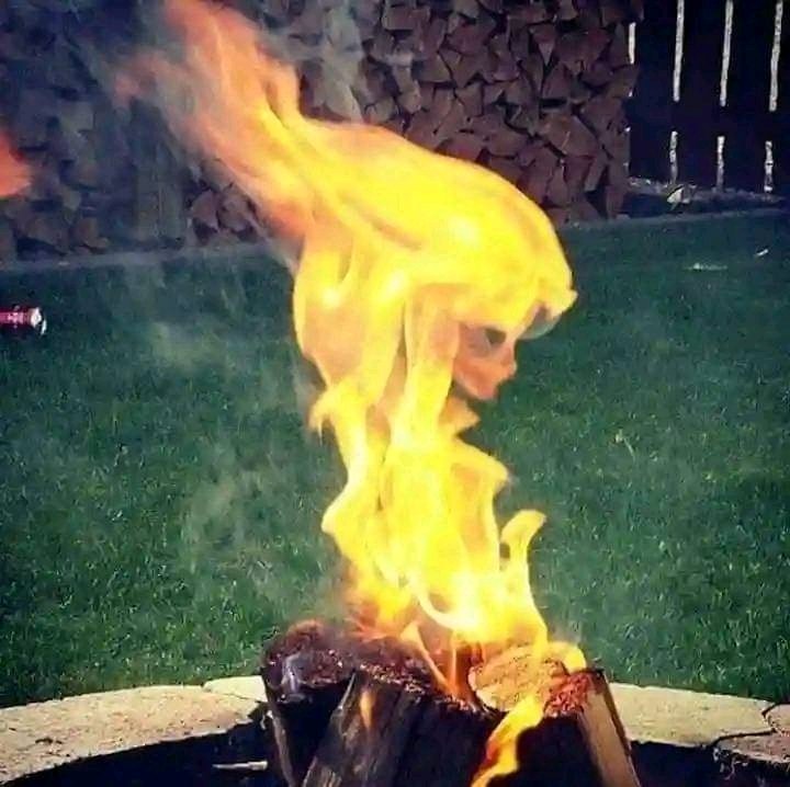 Gran fotografía