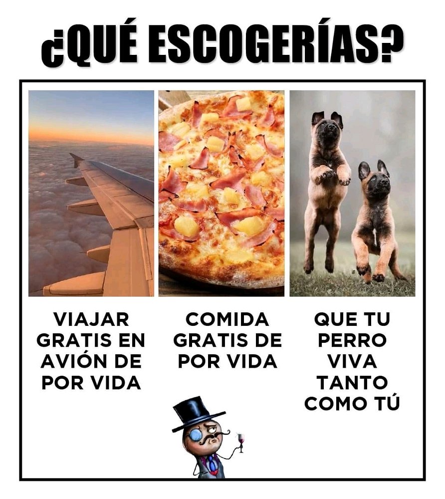 Es sin duda difícil de escoger.
