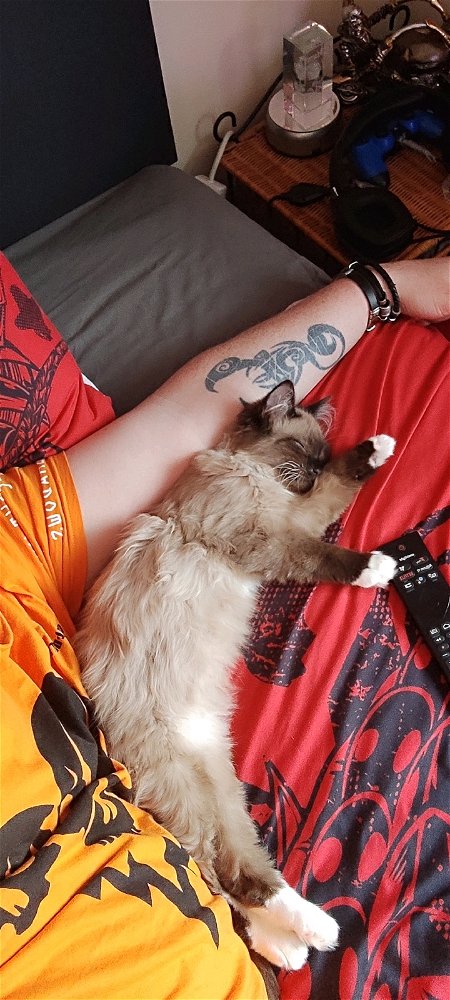 Snuggle time