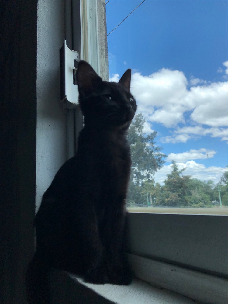 El amor de mi vida ❤️‍🩹