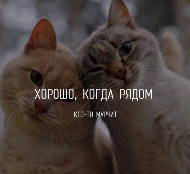 Когда привязываешься к человеку ты все время нуждаешься в его присутствии, тебе всегда его мало... всегда не хватает.