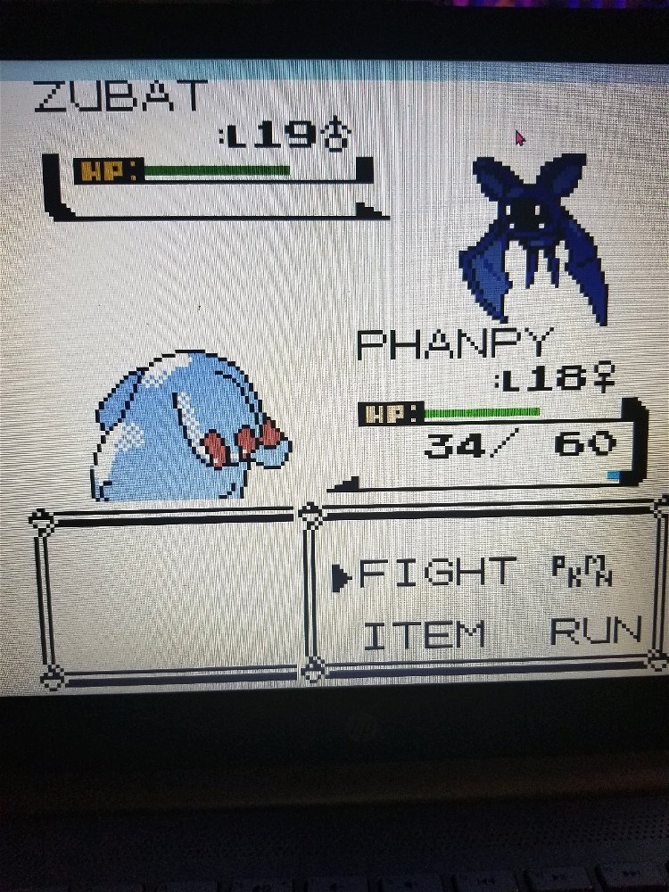 PokeWilds