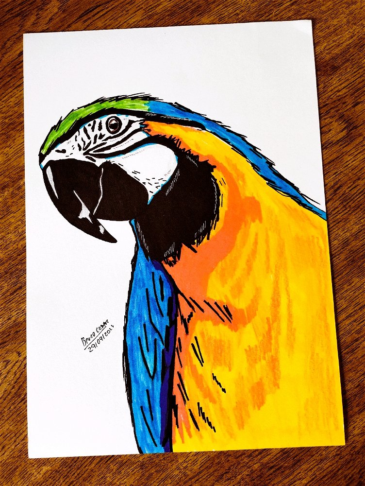 Meu novo desenho, espero que gostem! 😉