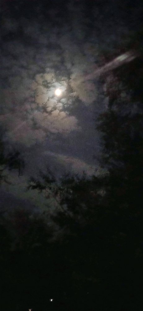 Спокойной ночи😴🌙✨💋