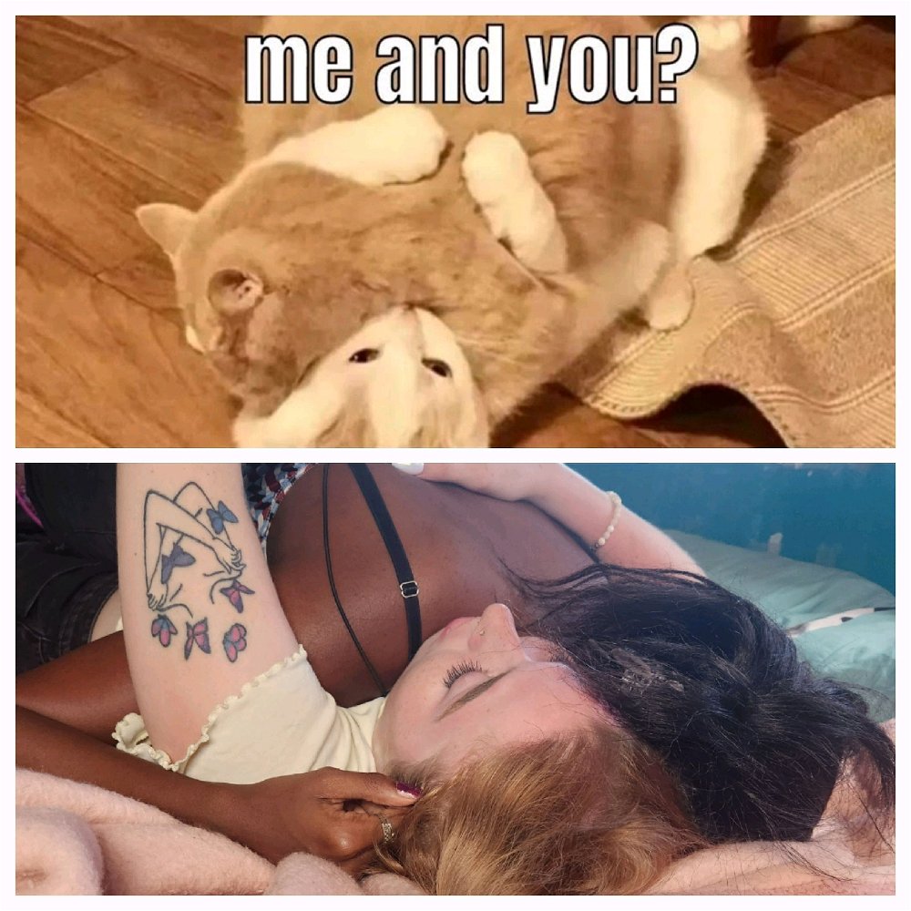 There's a cat and human version. 🤣🤣