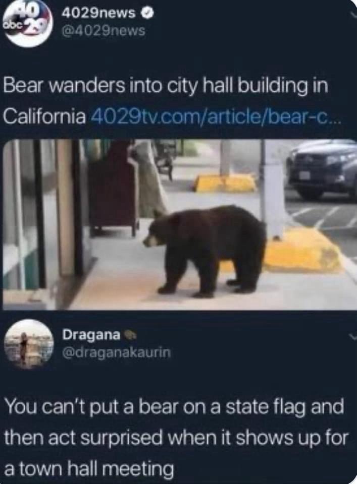 🐻