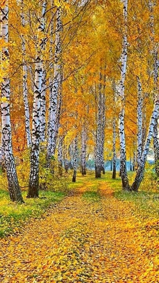 À l'automne, tous les sentiments empirent! Les petites choses semblent plus significatives. La journée semble être pleine de quelque chose d'incompréhensiblement mystérieux, même si elle devient de plus en plus courte et que l'air se refroidit. Et la chaleur de l’automne est précisément dans ce myst