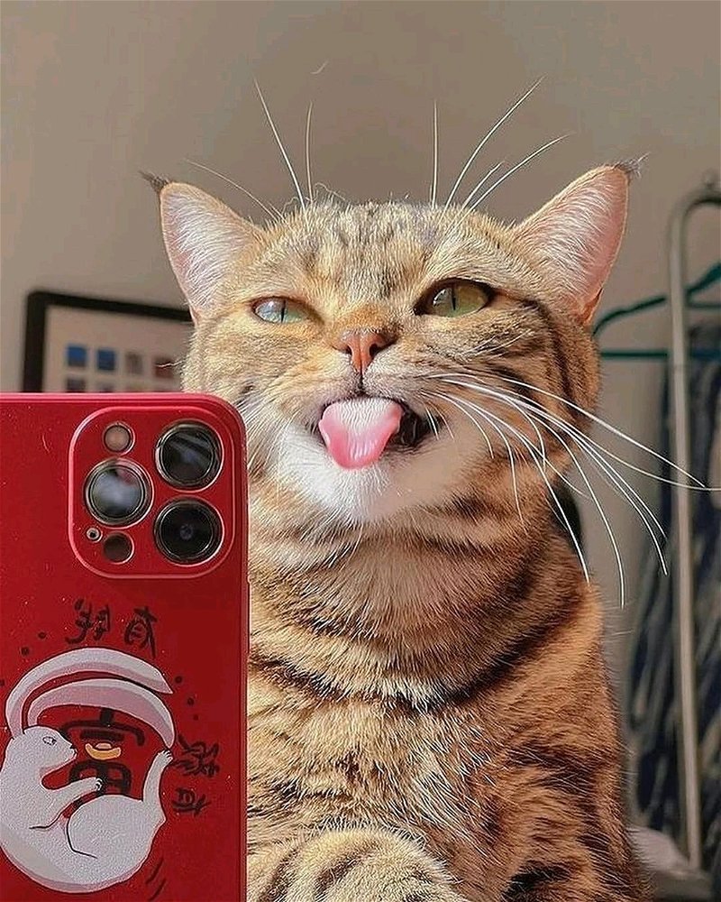 Es bellisimo😍😍