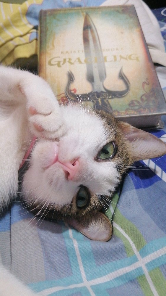 Lucy🥺🥺🥺