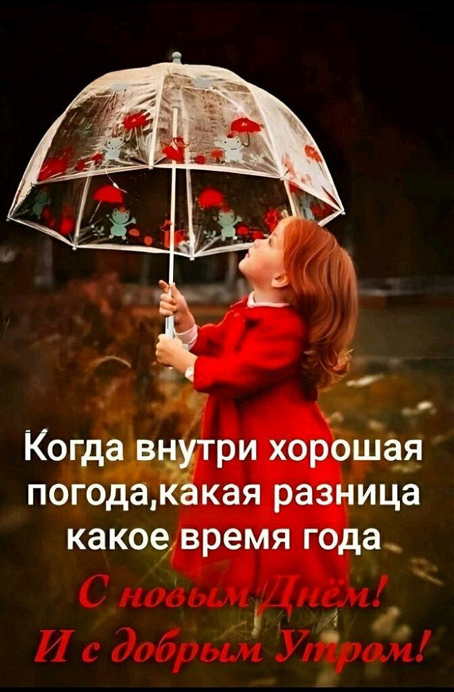 Утречка всем)
