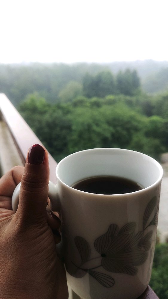 Guten Morgen 🌄