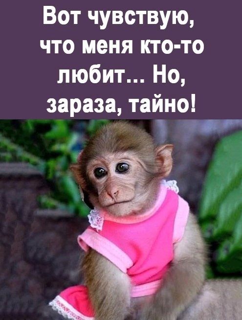Вот прям реально чувствую 🤔