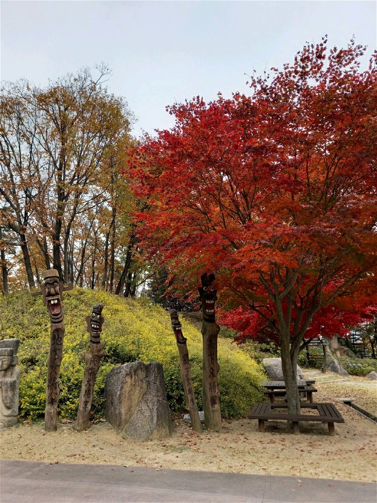 Autumn 🍂