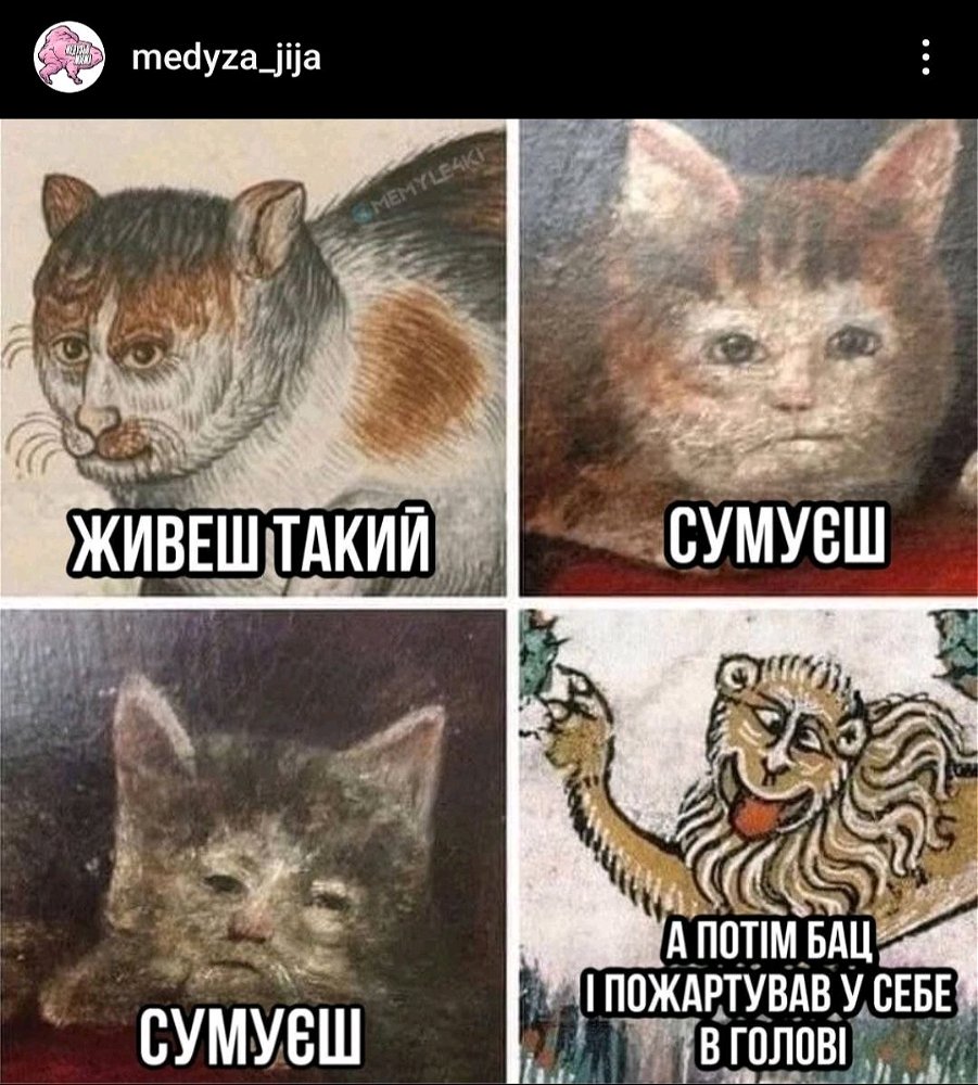 Котомистецтво