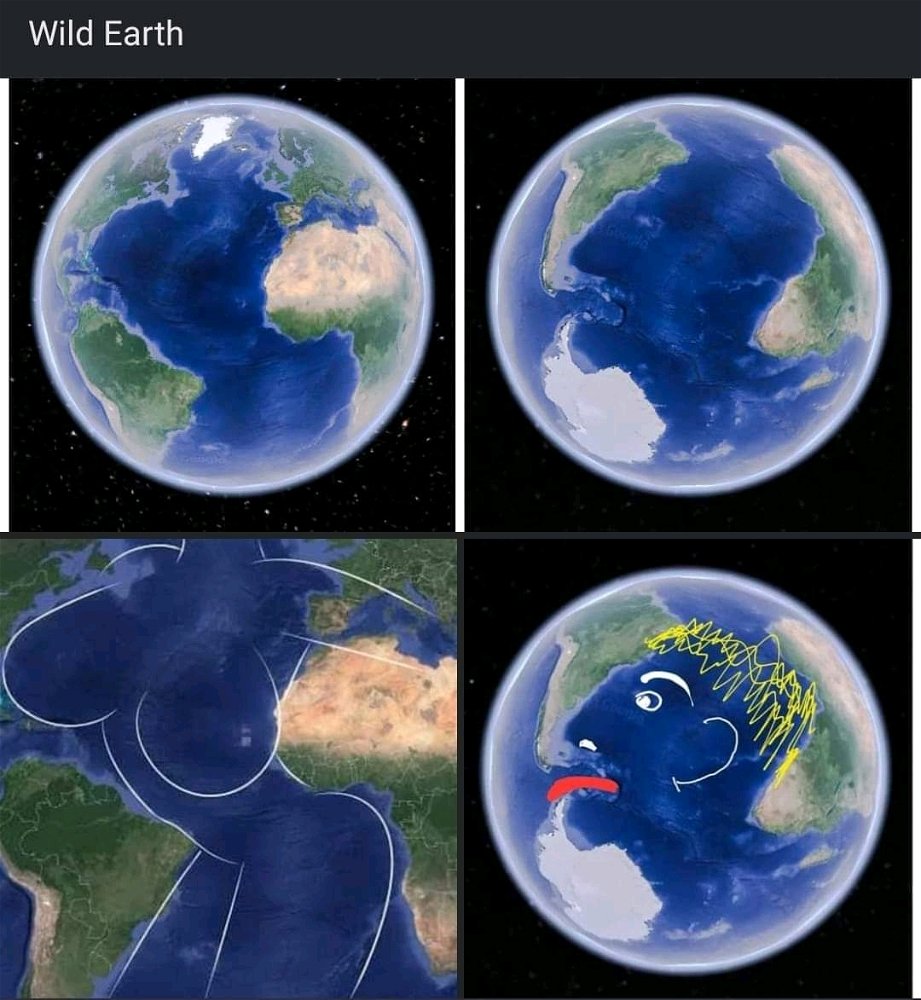 🤣🤣🤣
