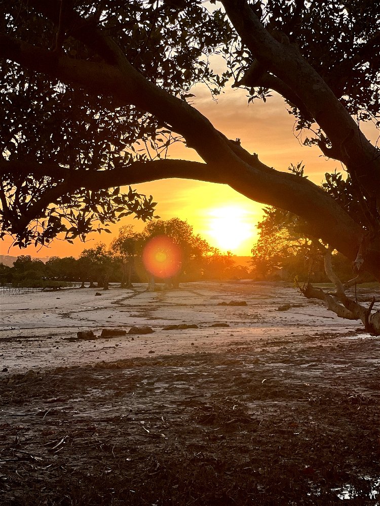 Sunset view