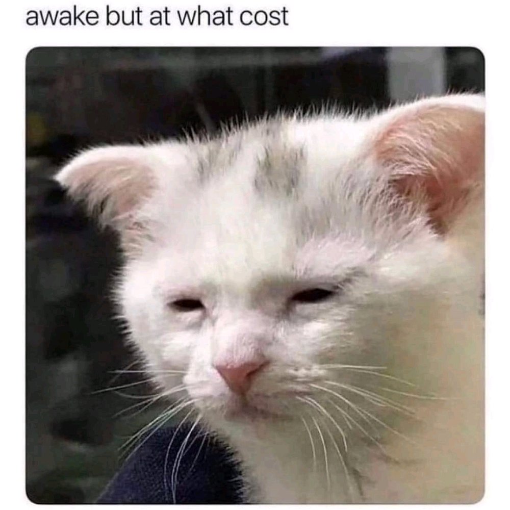 😵‍💫
