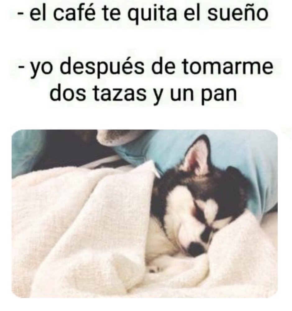Esa yo
