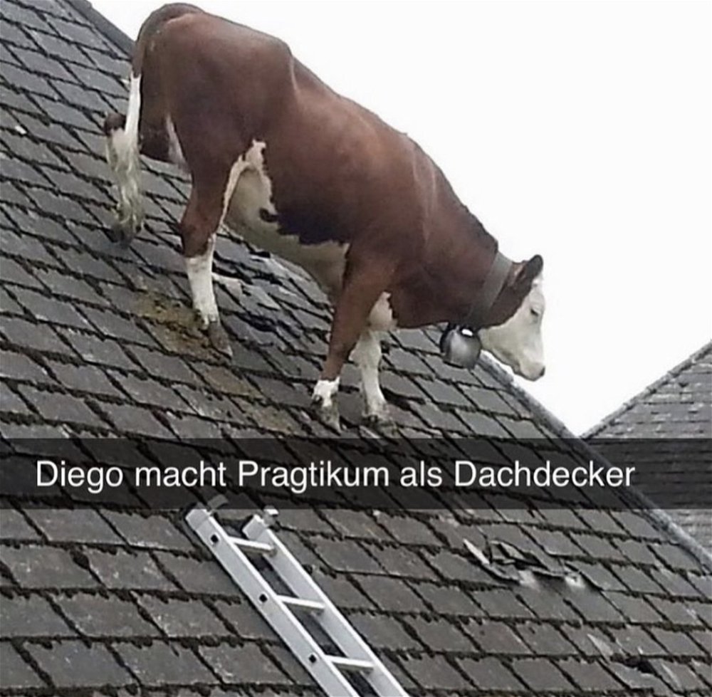 Mittarbeiter des Monats