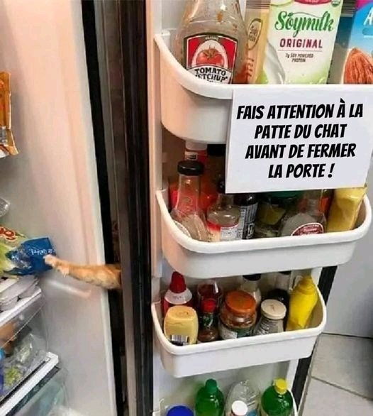 😂