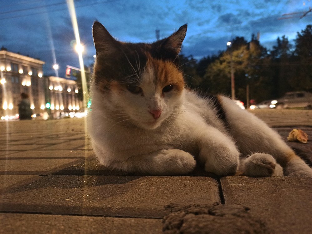 Модель же