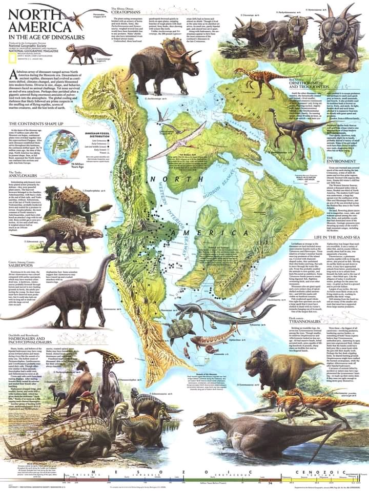 Paleopapus aquí les traigo una ilustración de la ubicación exacta donde vivían los dinosaurios
