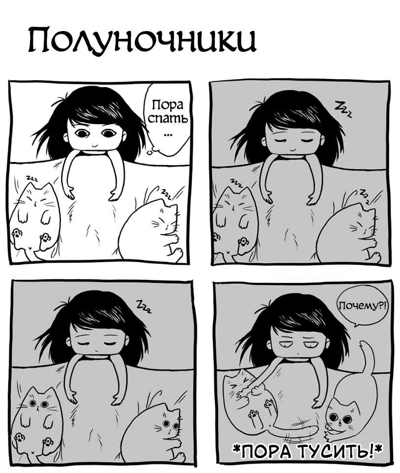 😼