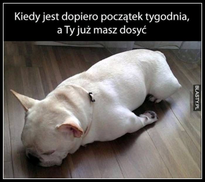 Miłego dnia i udanego tygodnia!;)