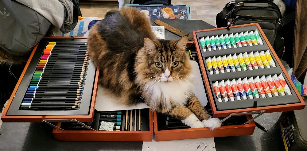 Mon petit (c'est faux) chat qui répond au délicieux nom de Crom Dieu Barbar de la Baston.