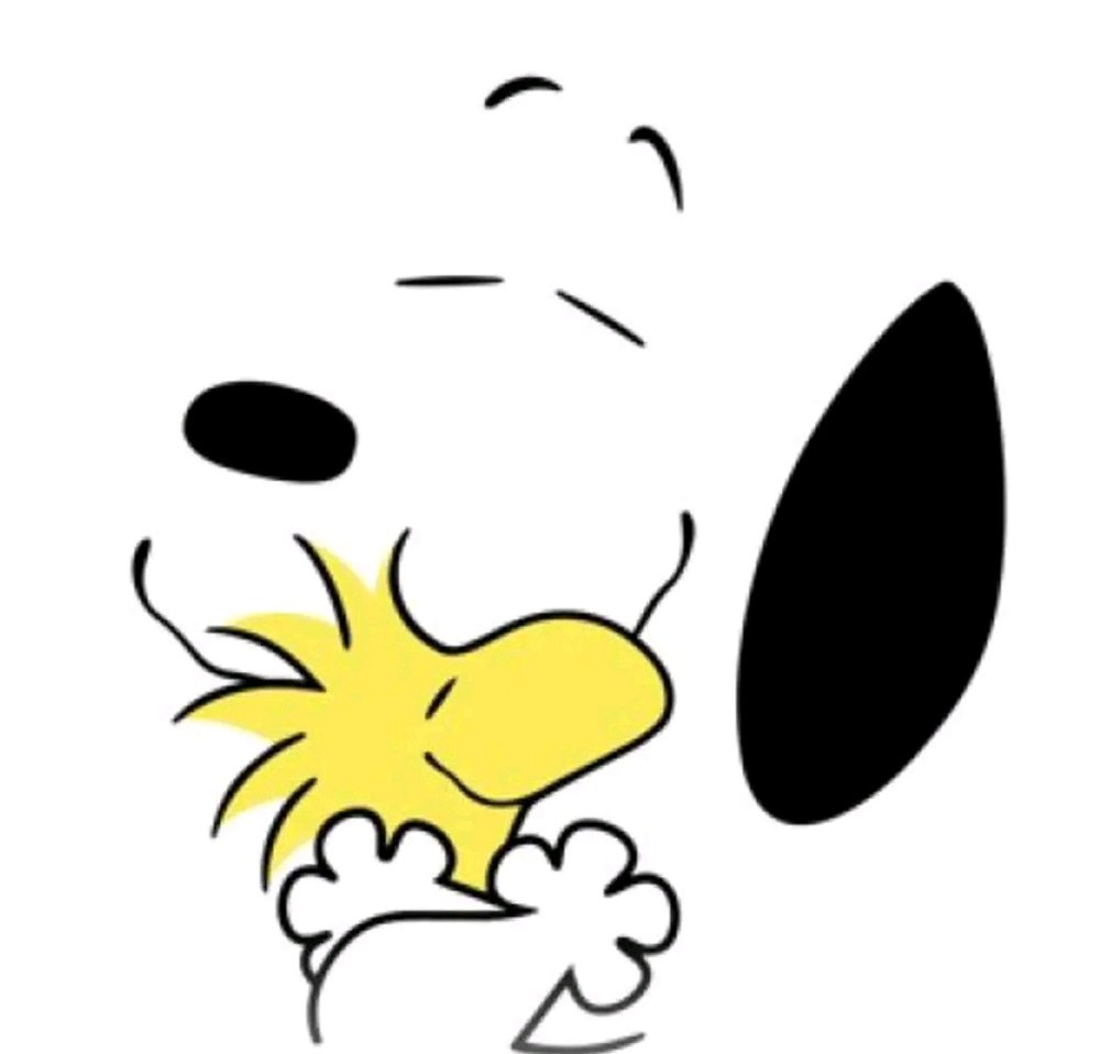 Bonne journée 🌞