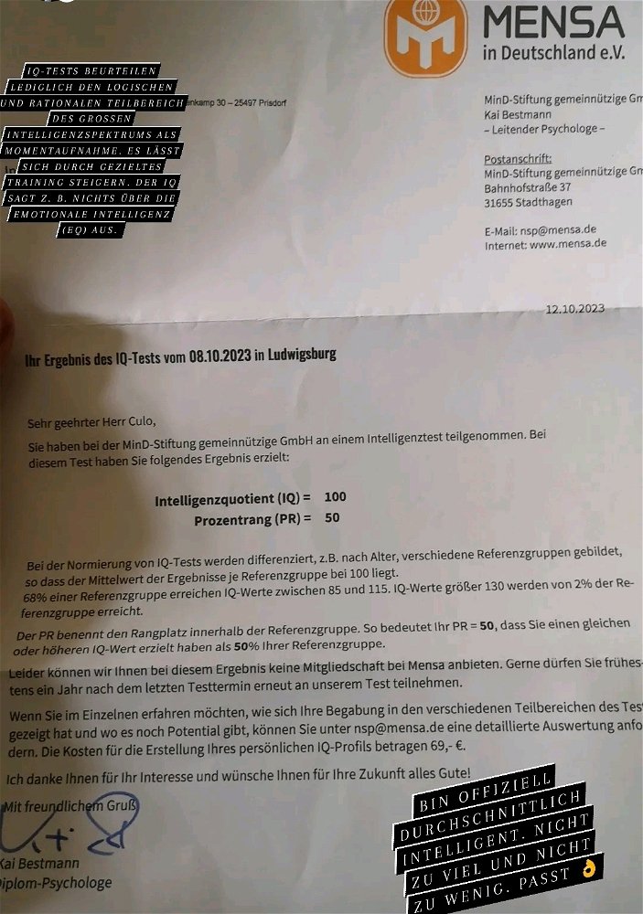 Hast du schon mal einen offiziellen IQ-Test von der Mensa Stiftung mitgemacht?