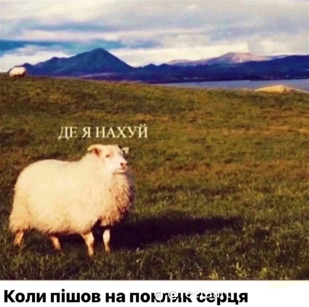В моєму випадку коли просто пішла кудись за чиїмись поясненнями, а не прогуглила наперед🙈