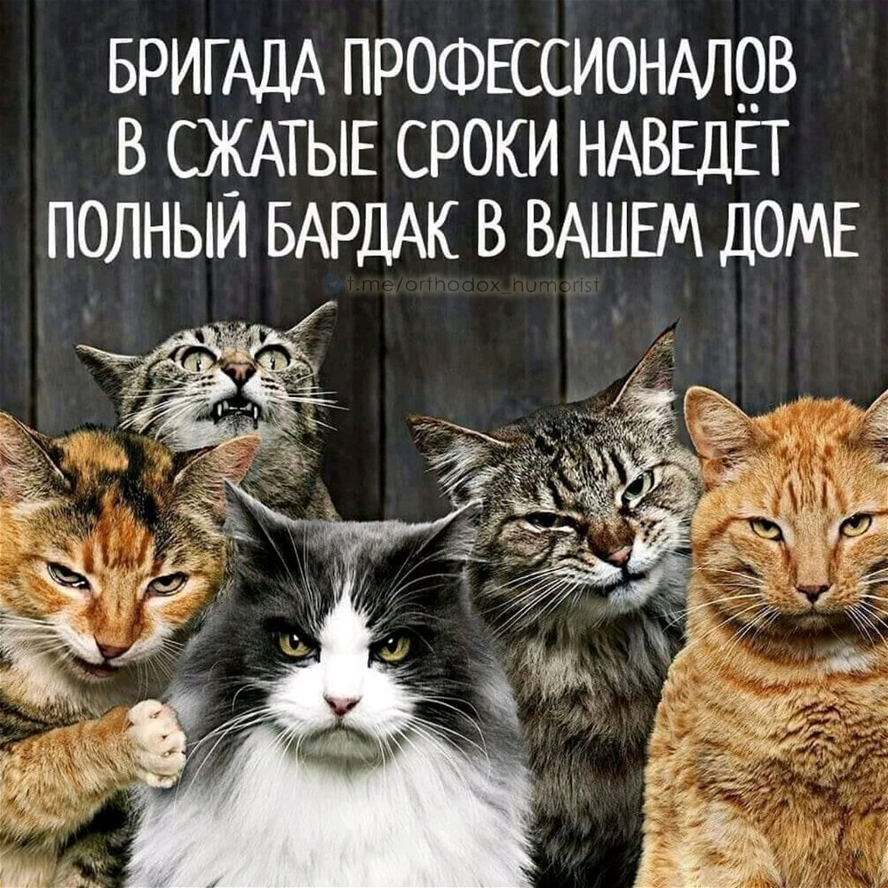 Папа прислал 🤭