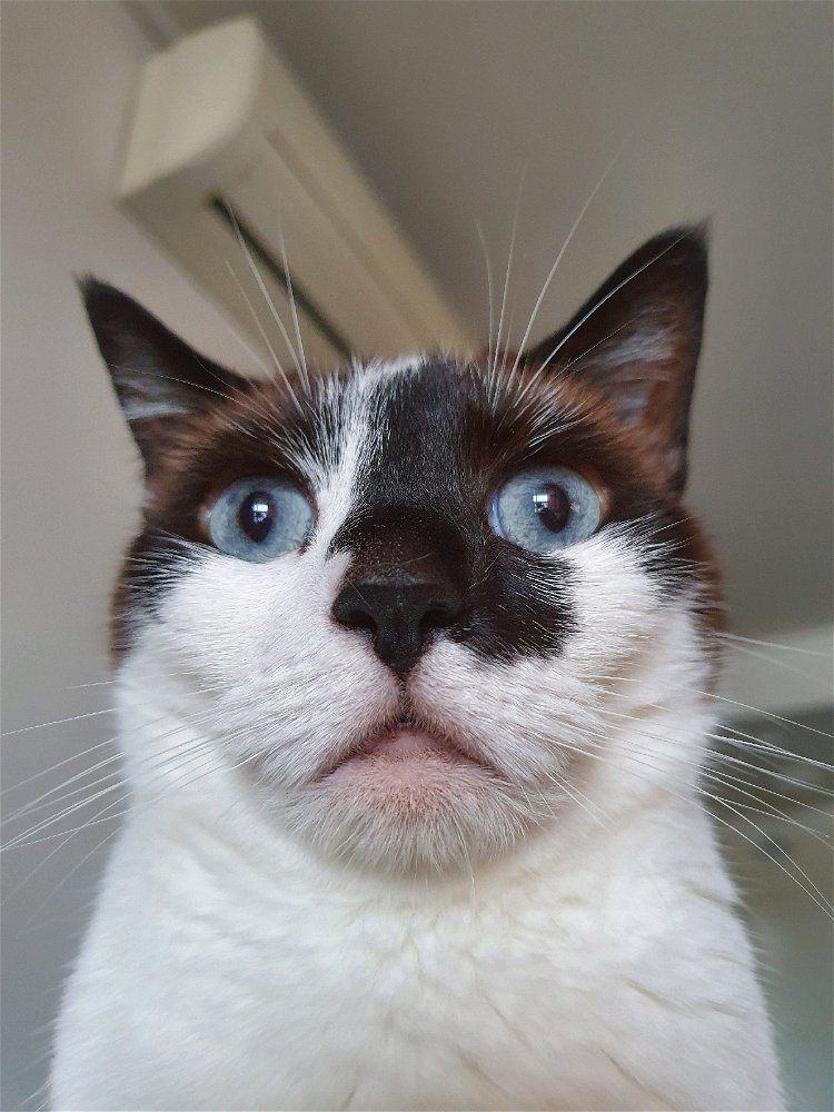 Behold