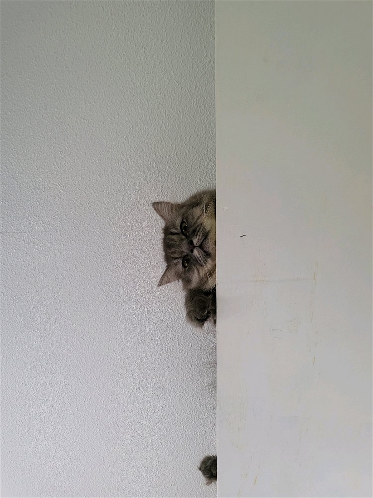Hi guys! I'ts my first time here on this app, idk what should i expect?