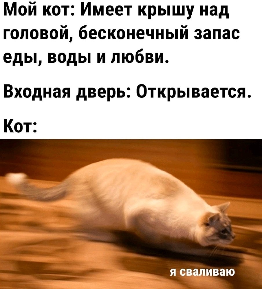 🤦
