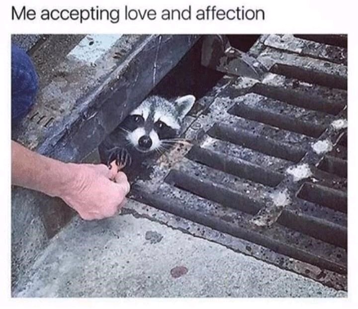 😋