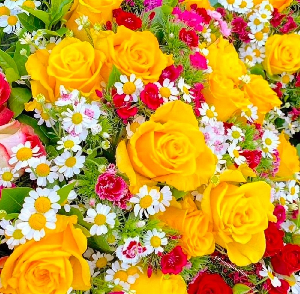 Morning for you...