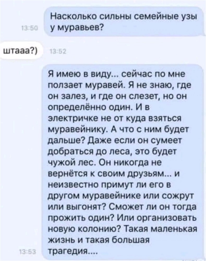 😂😂😂