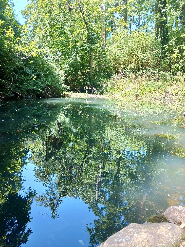 Nature.