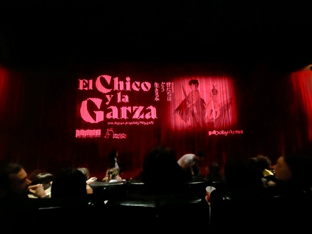 El chico y la garza