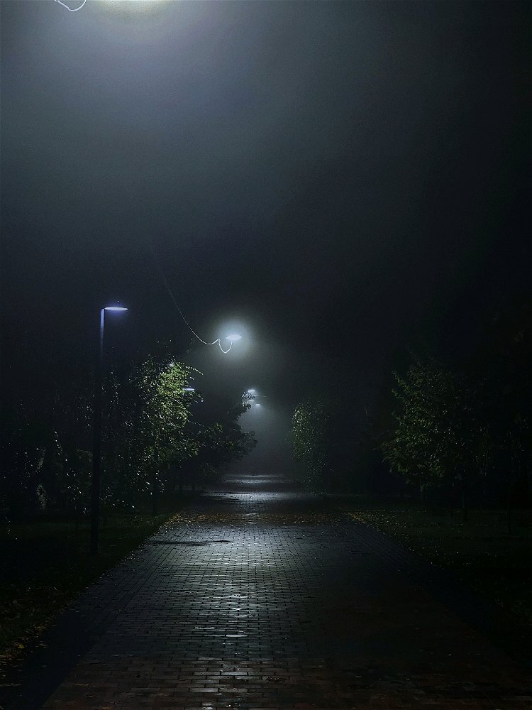 Дорога в никуда