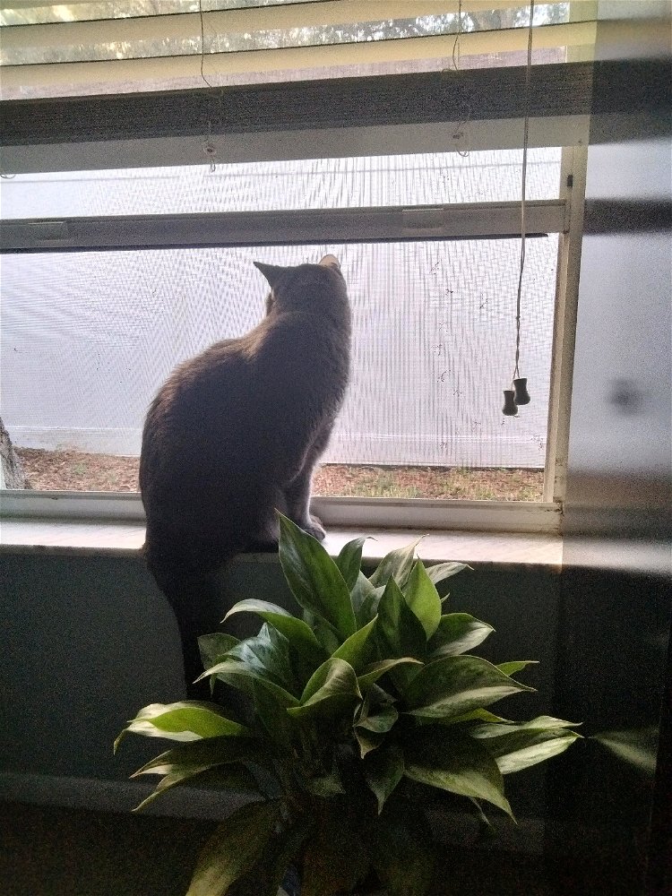 We woke up early .