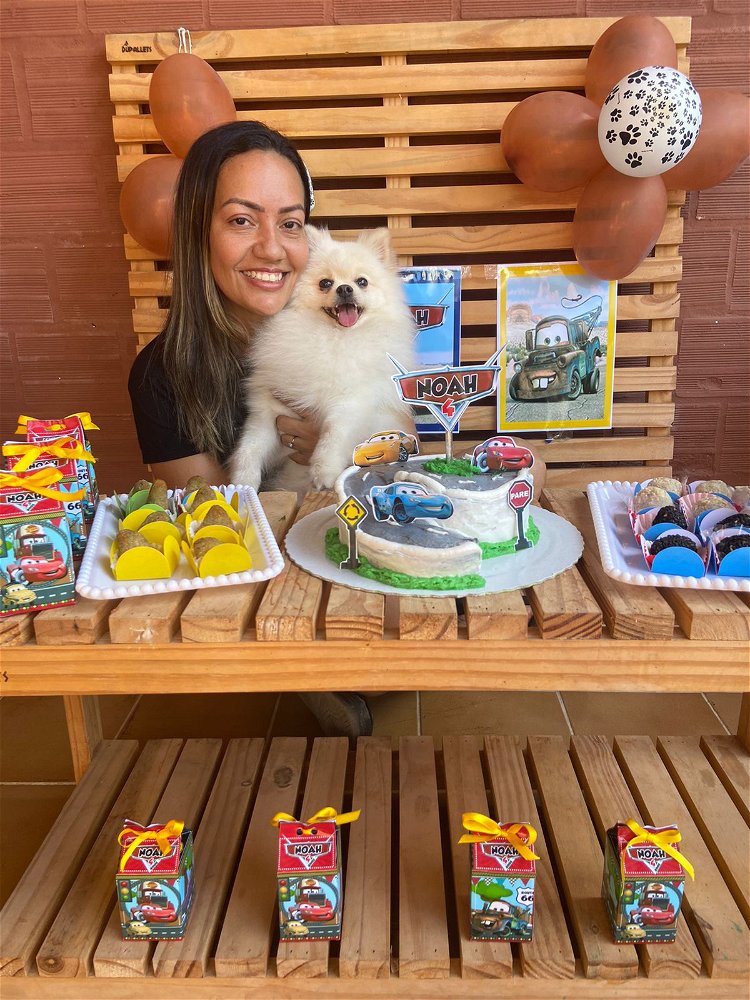 O melhor niver 🥰@playhotelforpets
