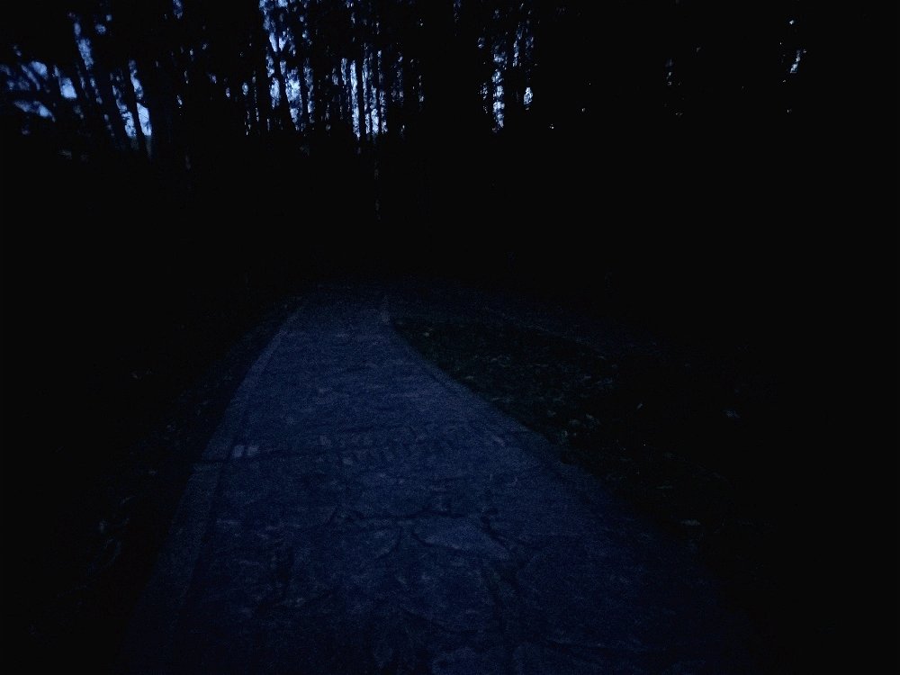 La noche es oscura y alberga horrores